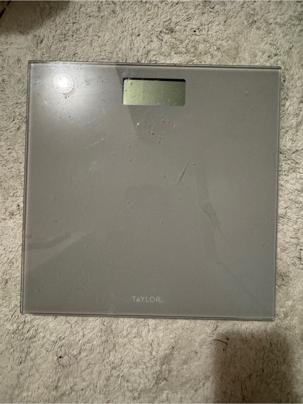 Taylor Glass Digital Scale in Light Gray